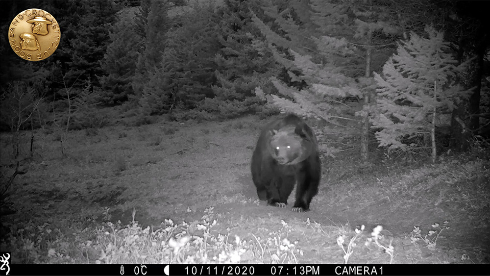 9-2021_14-windygriz-wp.jpg