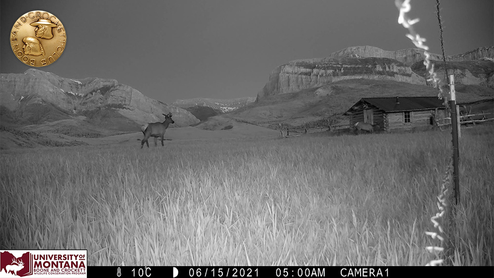 9_-_awesome_earlyelkcabin.jpg