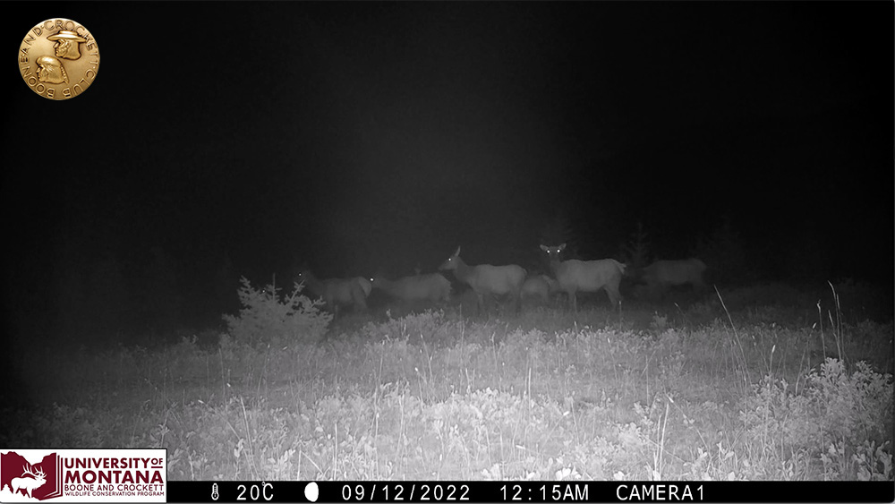 9elkgroup-screenshot.jpg
