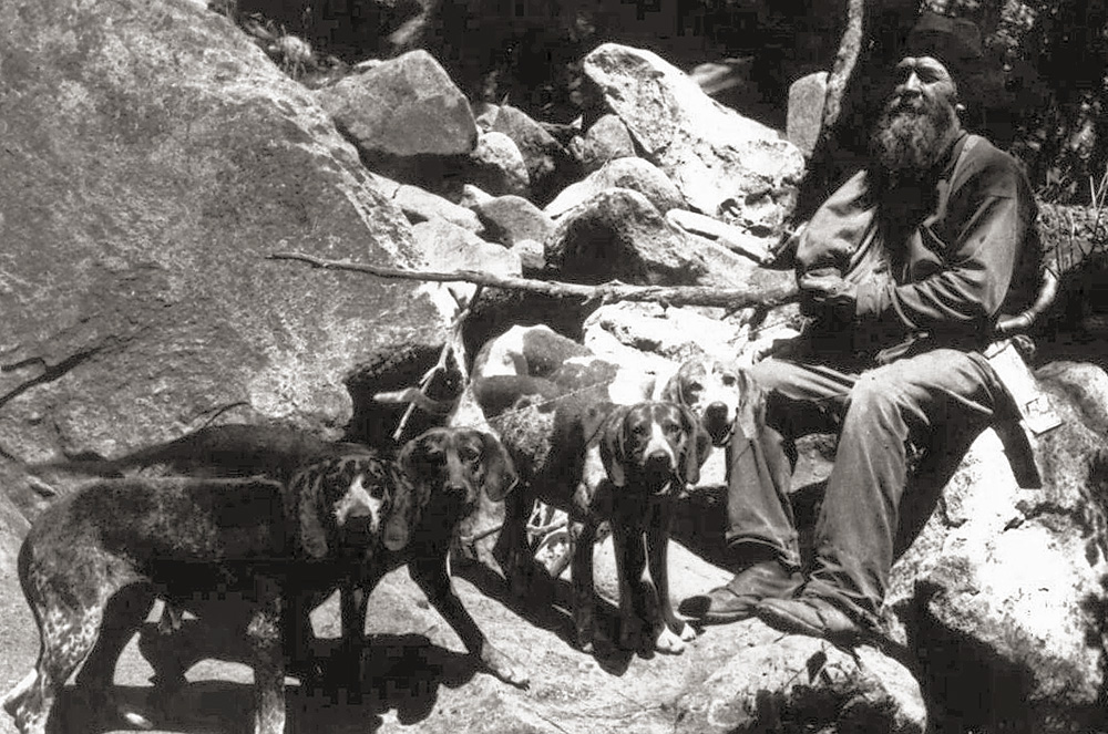 aa-benlilly-coonhounds1910s.jpg