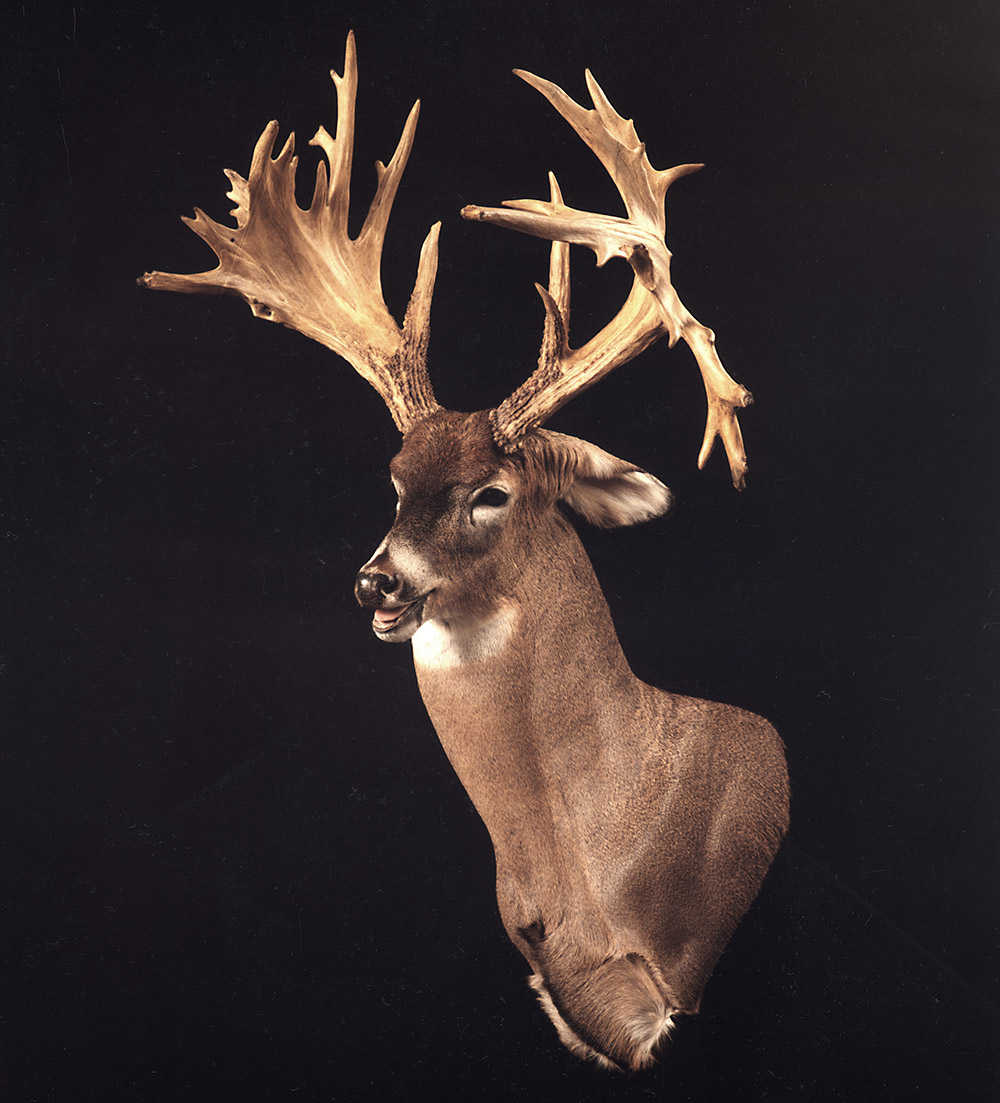 aa3-hillgould-wow.jpg
