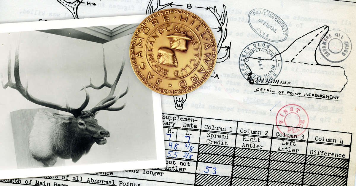 Mercer's bull received the Sagamore Hill Award at the 9th Competition.