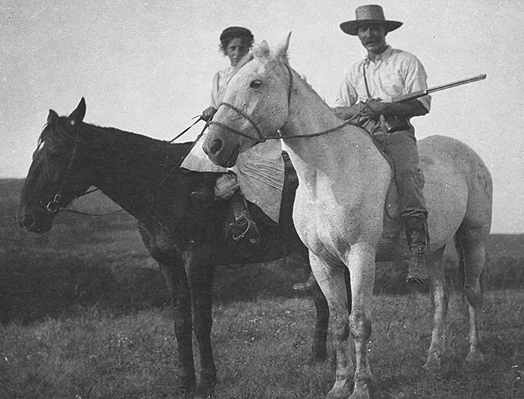 aa_riggall_horses.jpg