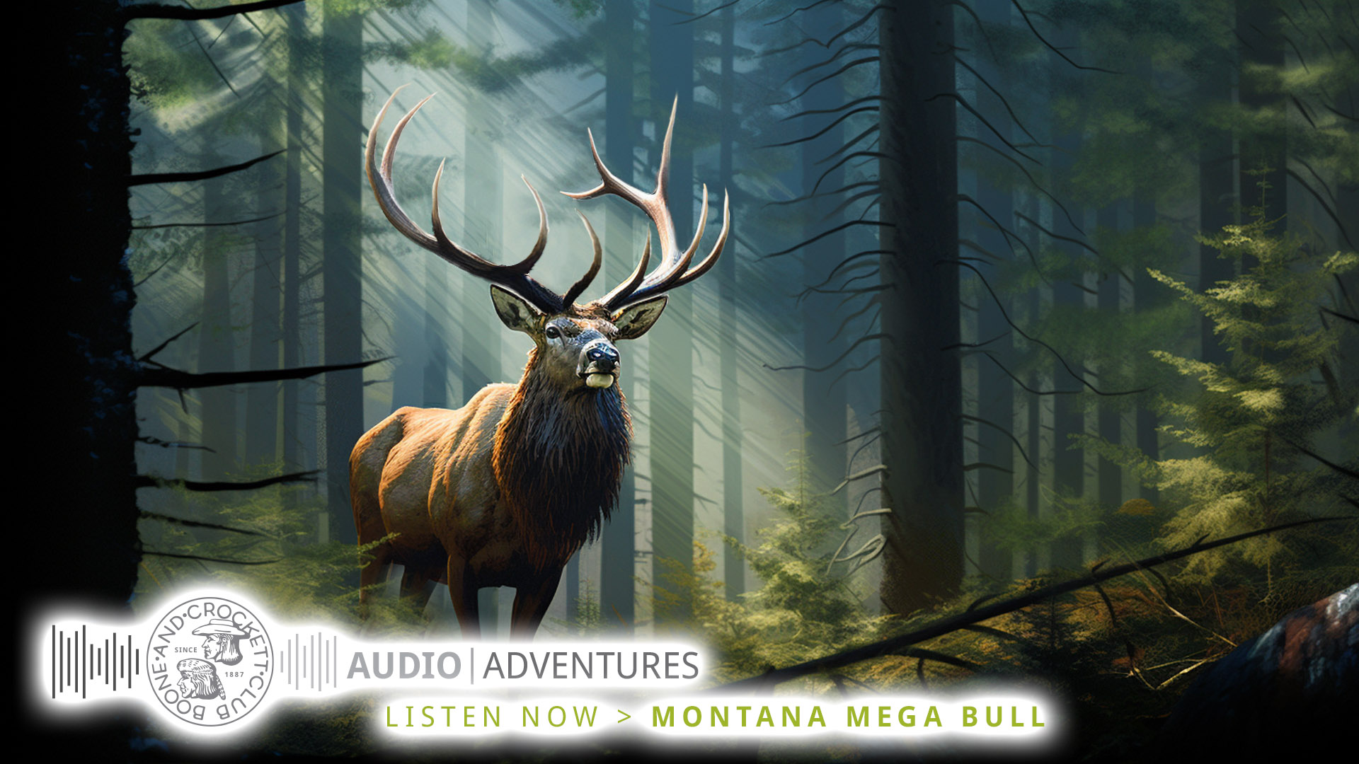 adamselk-audioadventure-header.jpg