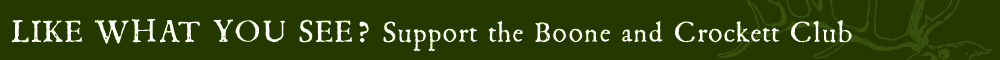 associatesask_1000x60_bcgreen.jpg