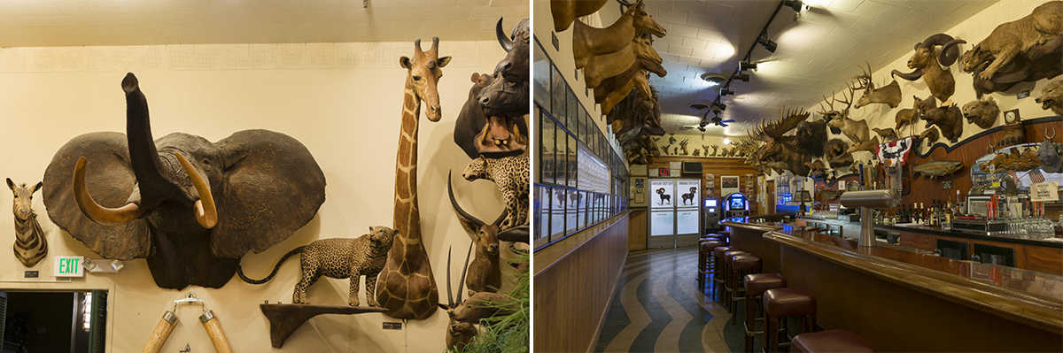 best_big_game_bar_combined_v1.png