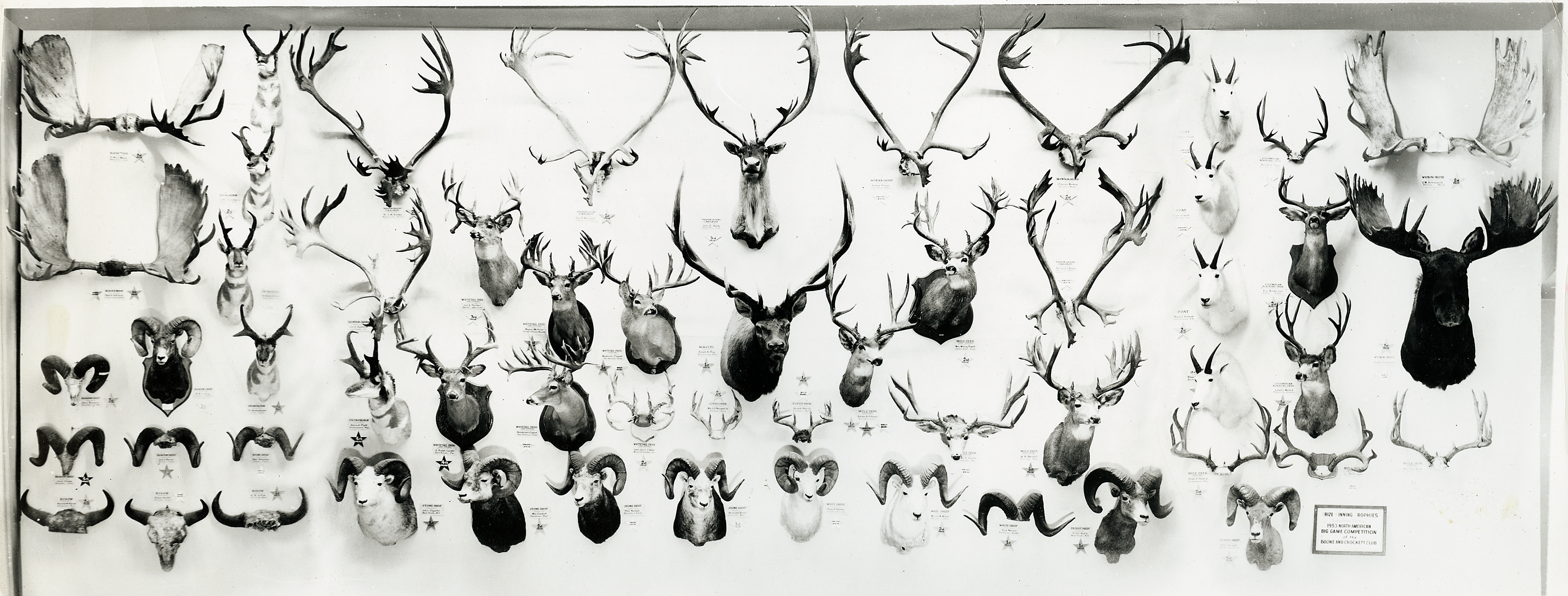 BGA_6thCompetition_1953.png