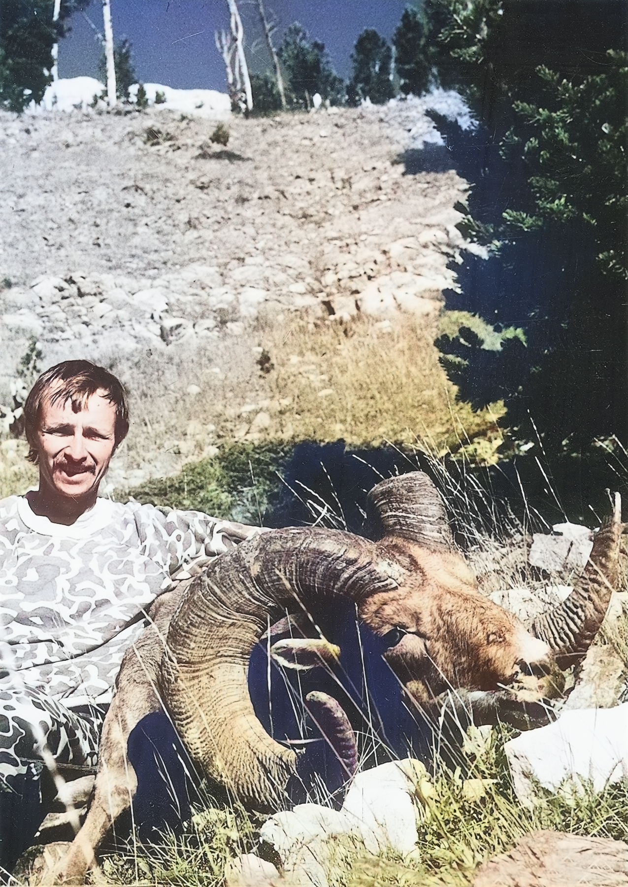 bighorn_kish.png