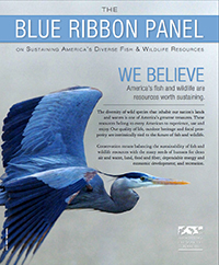 blue_ribbon.jpg