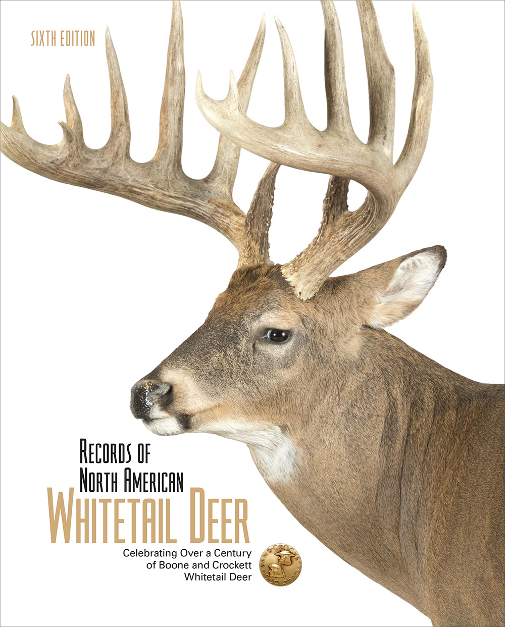 brdr6-webcover.jpg