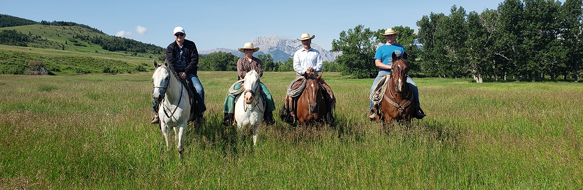 briggsfamilyhorses.jpg