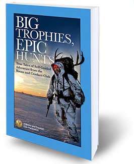 BTEH-cover2.jpg