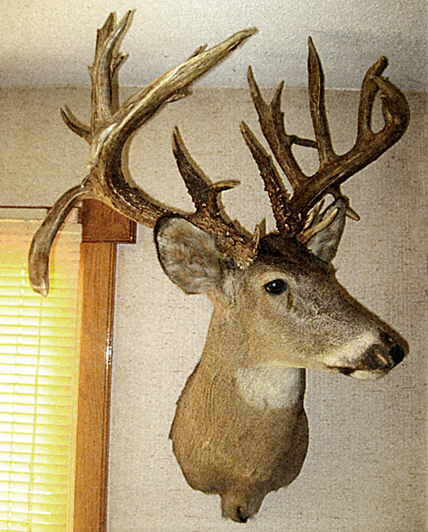buffalocounty_ntstaterecords.jpg
