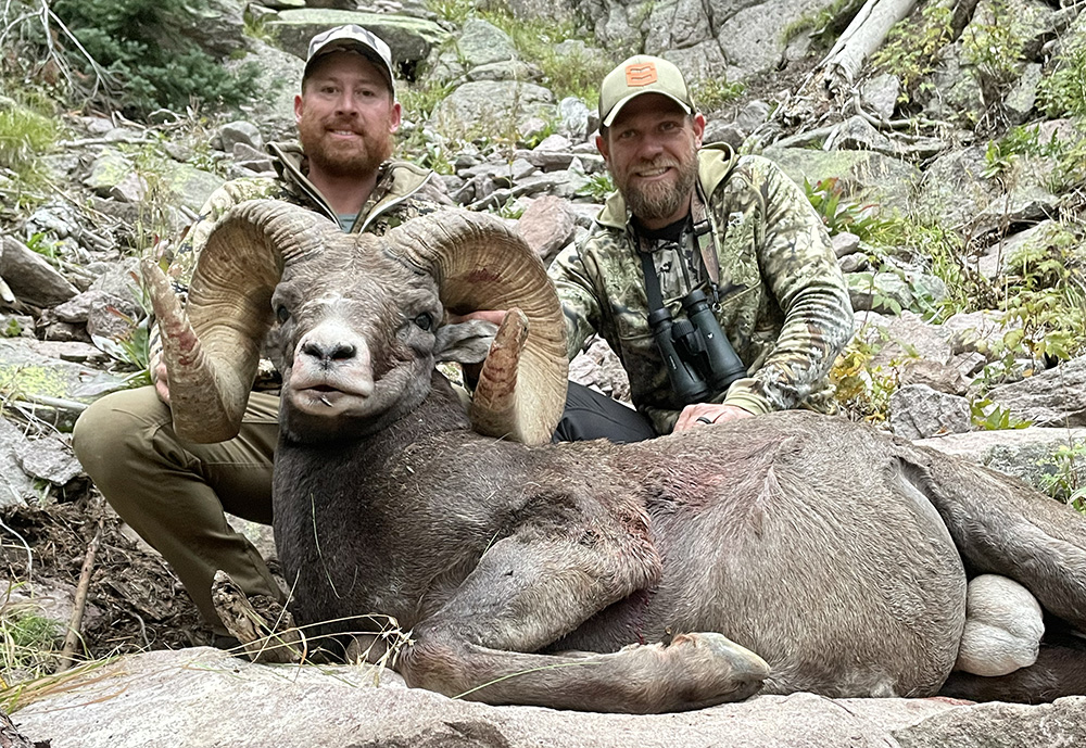 co-bighorns-neilfieldphoto.jpg