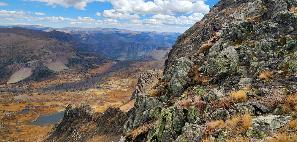 co-bighorns-neilsheeplandscape.jpg