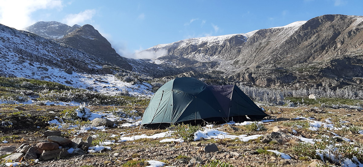 co-moose-litzelman-camp.jpg