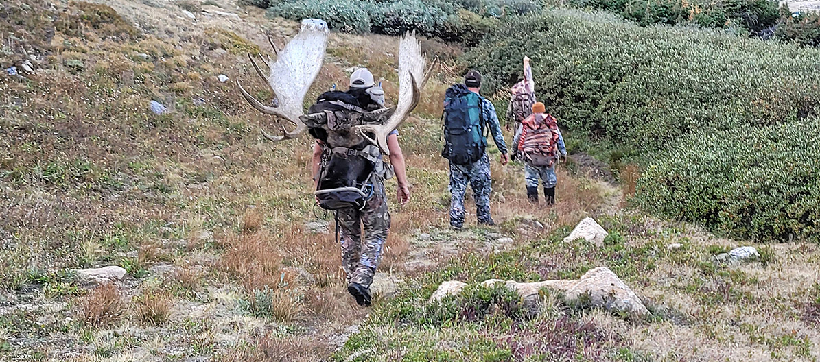 co-moose-litzelman-packtrain.jpg