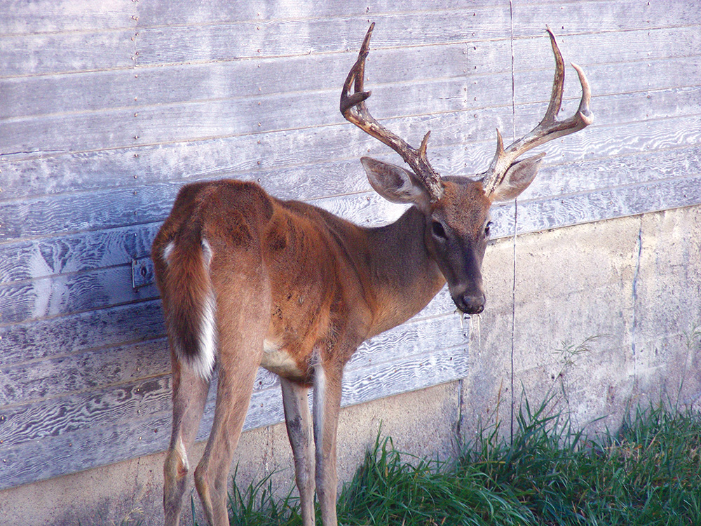 cwd-part2opener.jpg