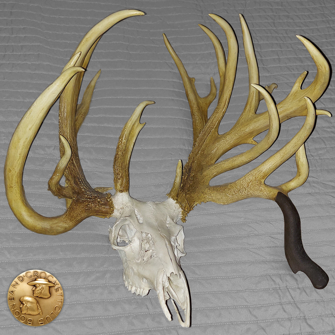 The new Maryland state record non-typical whitetail has numerous unique characteristics including drop tines and a third antler! The buck has a final B&C score of 254-1/8 points.