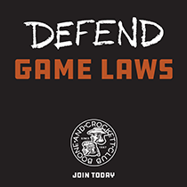 defend_gamelaws210x210.png