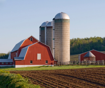Red Barn in field