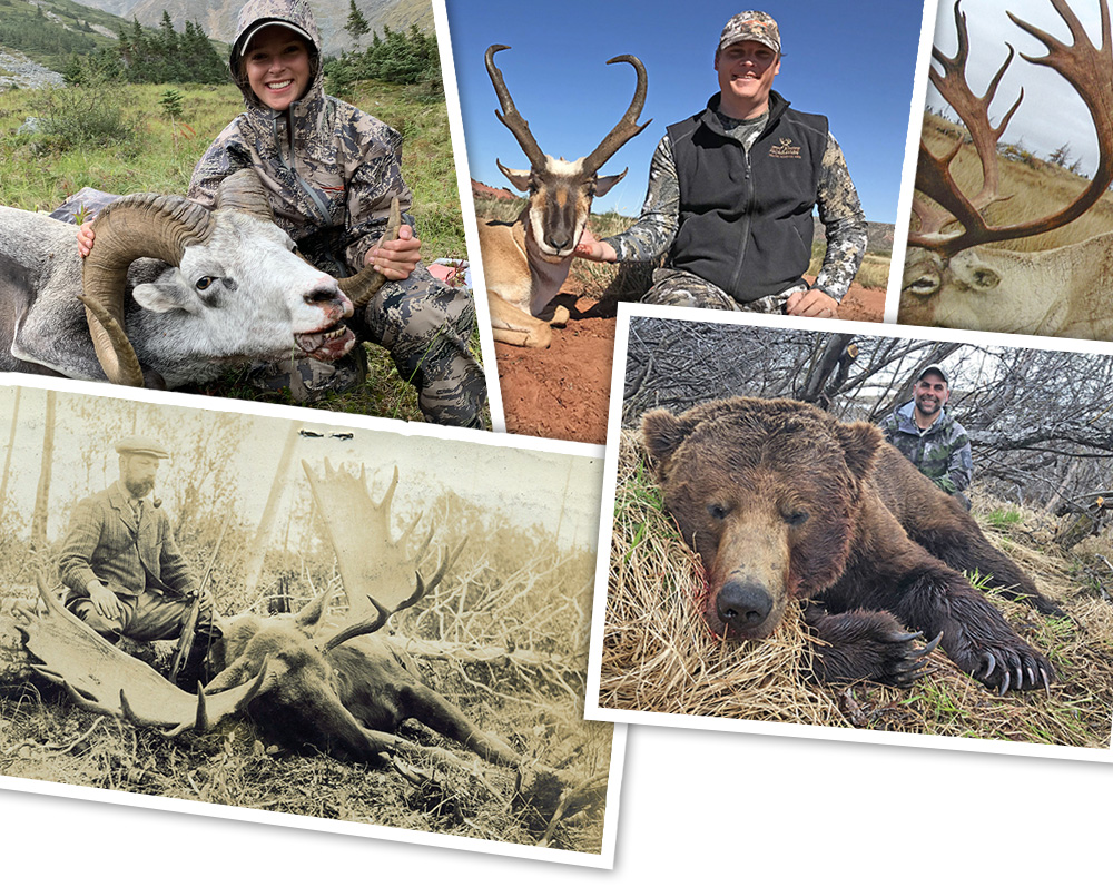fieldphoto-collage.jpg