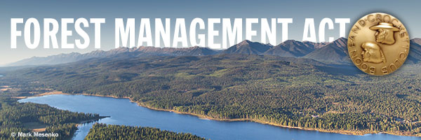 ForestManagement_header.jpg