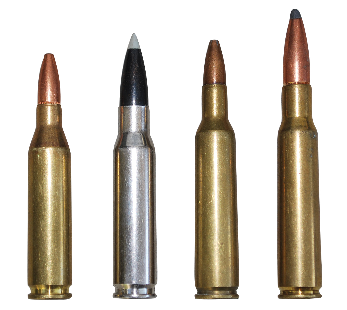 freefc_boddington243-cartridges.jpg