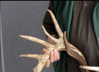 FS_ANOTHERANGLE_KingBuck.jpg
