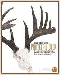 FS_BRDR5Cover200.jpg