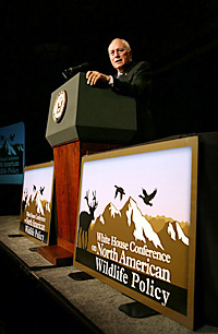 FS_Cheney.jpg