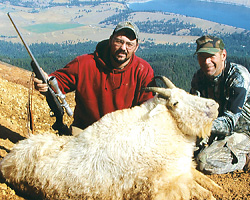 FS_goat300.jpg