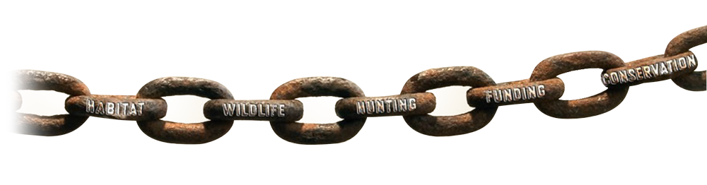 gbg-chain.png