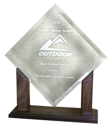 GMA_Award225.jpg