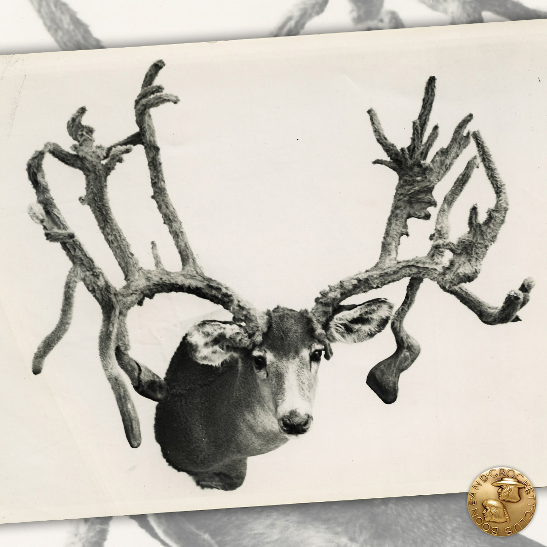 houseofhorrors-5-cactusbuck.jpg