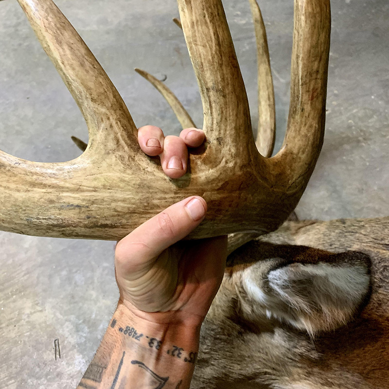 Huff demonstrates the mass on his buck's left antler. The buck's offical B&C score is 211-4/8 points, making the third largest whitetail in Boone and Crockett Club's record book.