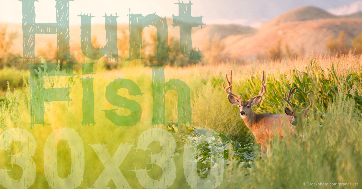 huntfish_atlast-header.jpg