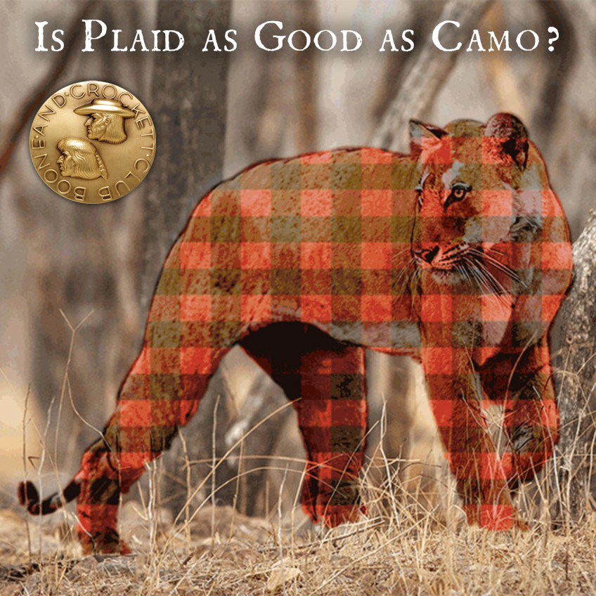 ig-tiger-plaid-camo-card.jpg