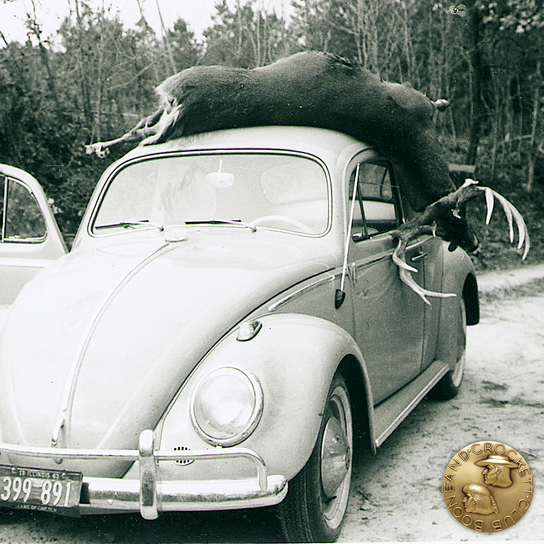 ig_higgsbugphoto.jpg