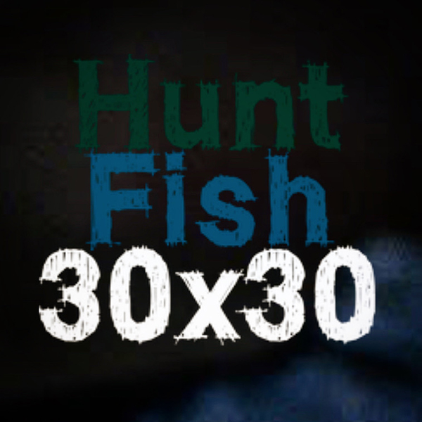 ig_hunt3030_web.jpg