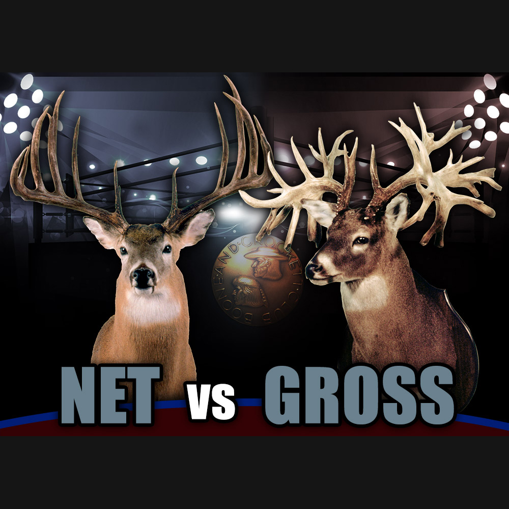 ig_netvgross.jpg