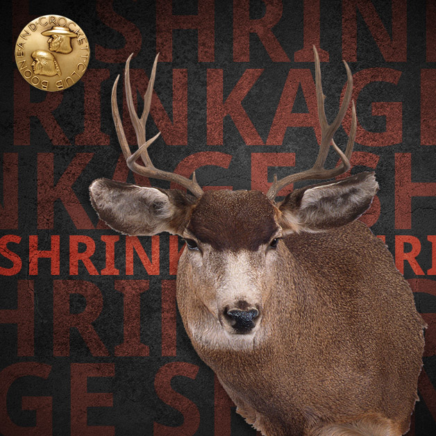 ig_shrinkage-header2.jpg