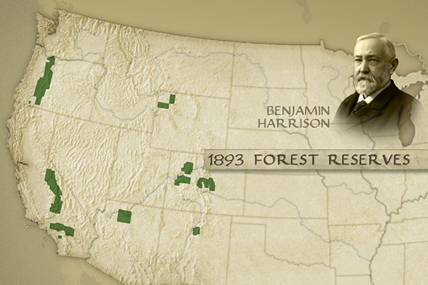 impact-nationalforest-1893reserves.jpg