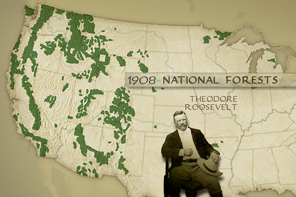 impact-nationalforest-1908nationalforests.jpg