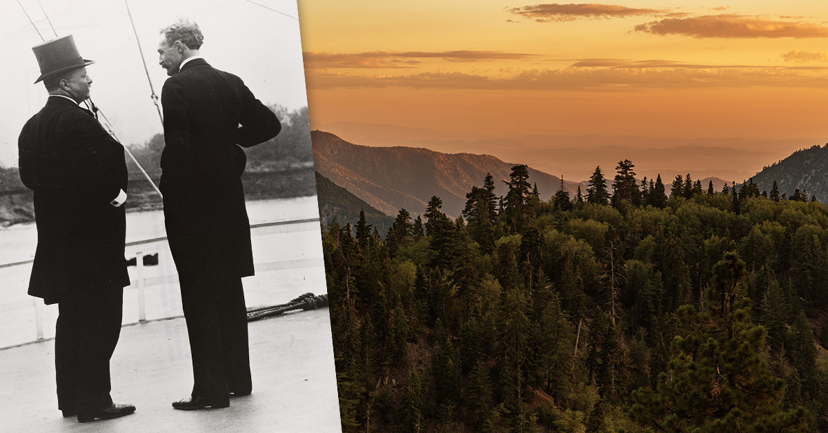 impact-nationalforest-header.jpg