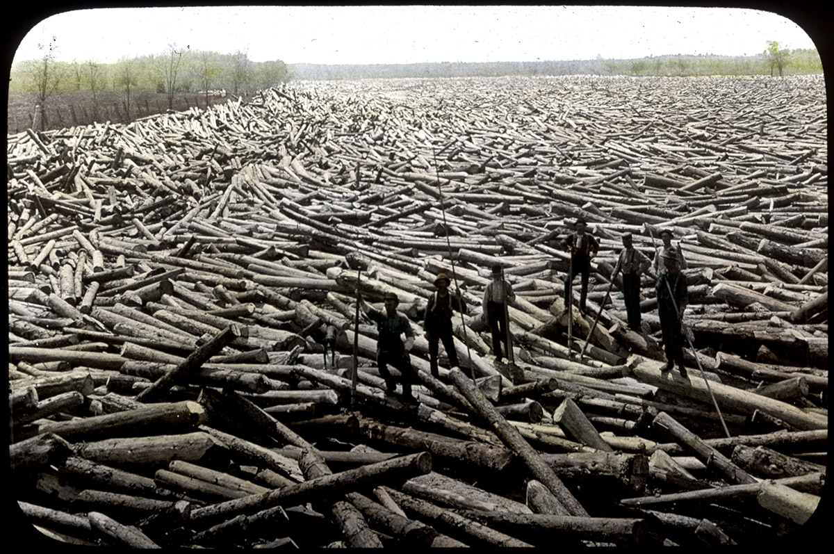 impact-nationalforest-logjam.jpg