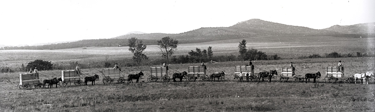 impact-pronghorn-bisonwichita.jpg