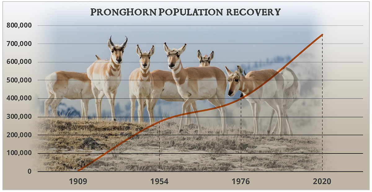 impact-pronghorn-recoverychart2.jpg