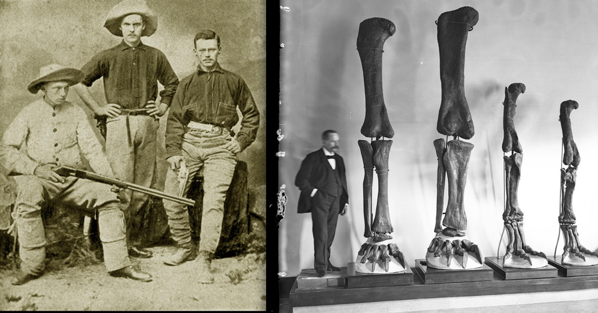 impact10-amnh-osborn.jpg