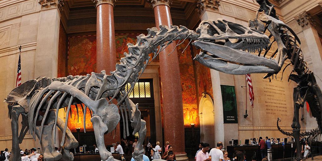 impact10_amnh-visit.jpg